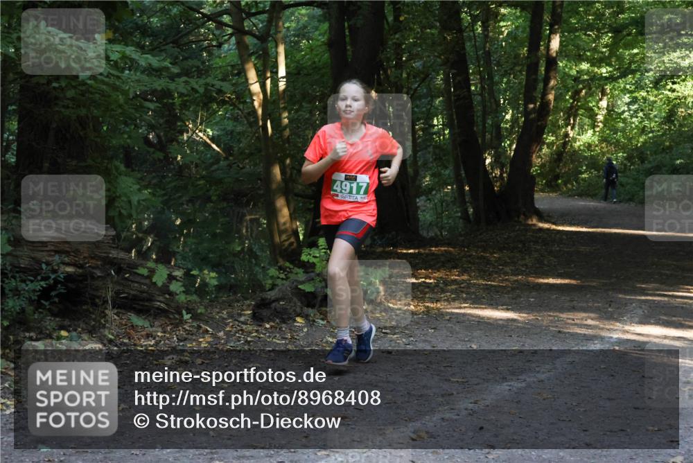 28.09.2025 - 33. Volkslauf durch das schöne Alstertal Strokosch-Dieckow http://msf.ph/oto/8968408 28.09.2025 10:57:37 Laufen 4917 meine-sportfotos.de