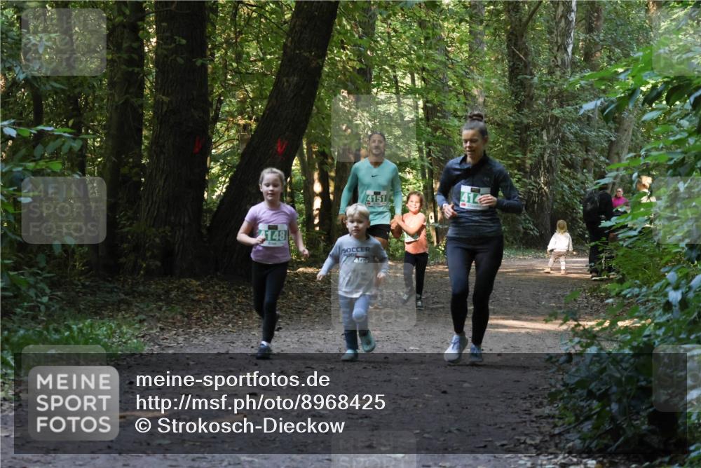 28.09.2025 - 33. Volkslauf durch das schöne Alstertal Strokosch-Dieckow http://msf.ph/oto/8968425 28.09.2025 11:00:24 Laufen 4148, 4151, 41 meine-sportfotos.de