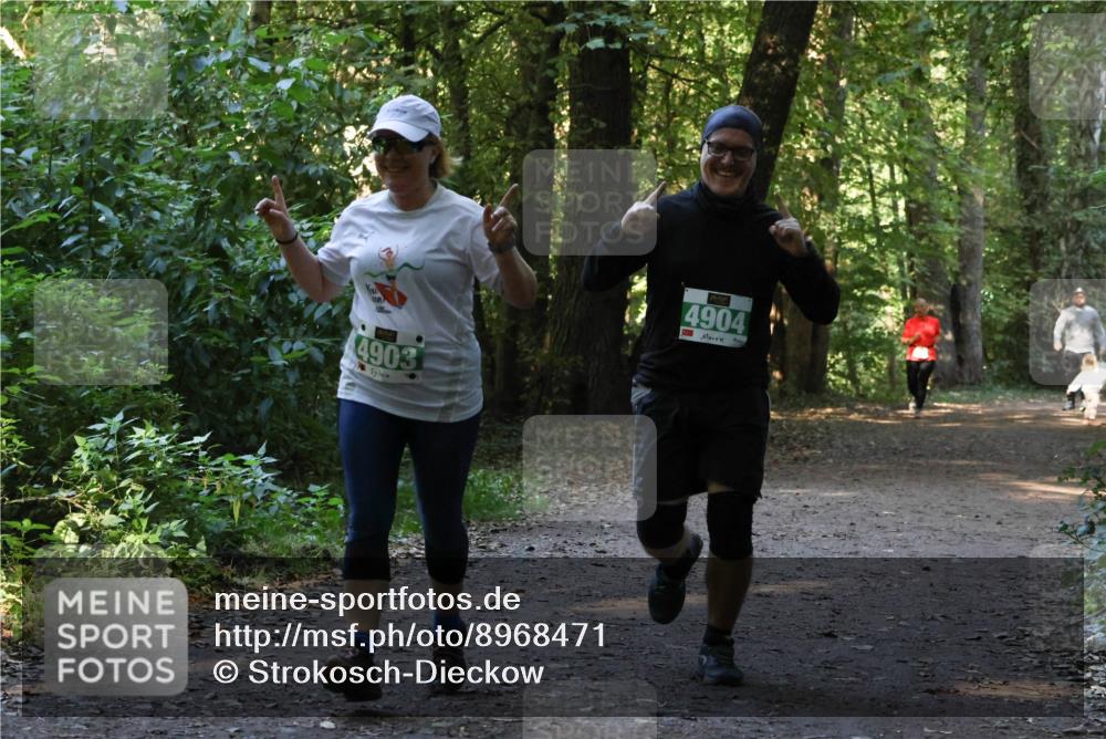 28.09.2025 - 33. Volkslauf durch das schöne Alstertal Strokosch-Dieckow http://msf.ph/oto/8968471 28.09.2025 11:01:40 Laufen 4903, 4904 meine-sportfotos.de