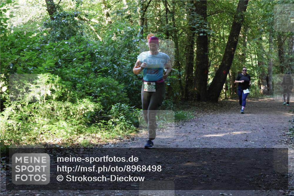 28.09.2025 - 33. Volkslauf durch das schöne Alstertal Strokosch-Dieckow http://msf.ph/oto/8968498 28.09.2025 11:02:58 Laufen 4085 meine-sportfotos.de