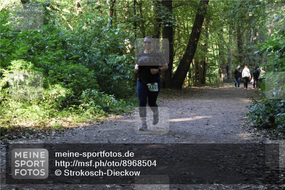 28.09.2025 - 33. Volkslauf durch das schöne Alstertal Strokosch-Dieckow http://msf.ph/oto/8968504 28.09.2025 11:03:03 Laufen 4110 meine-sportfotos.de