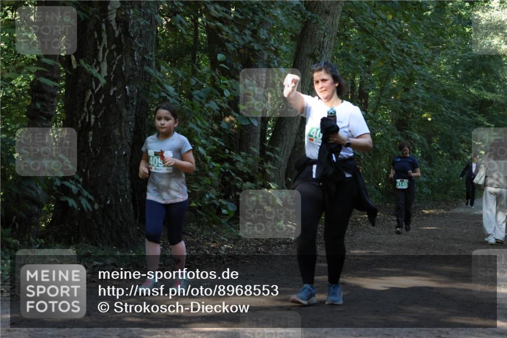 28.09.2025 - 33. Volkslauf durch das schöne Alstertal Strokosch-Dieckow http://msf.ph/oto/8968553 28.09.2025 11:05:52 Laufen 409, 40, 4145 meine-sportfotos.de