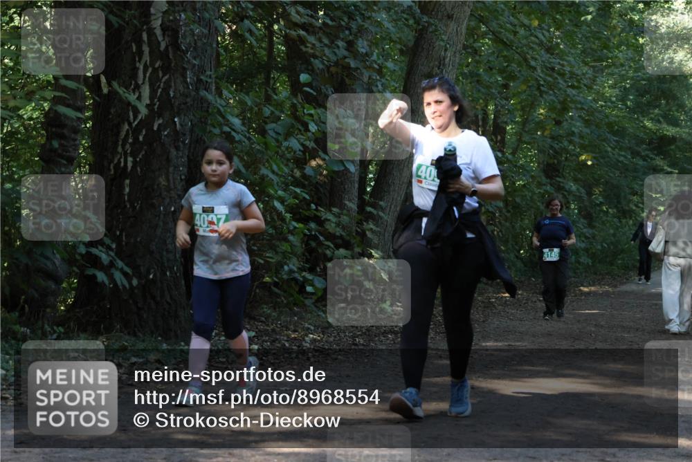 28.09.2025 - 33. Volkslauf durch das schöne Alstertal Strokosch-Dieckow http://msf.ph/oto/8968554 28.09.2025 11:05:52 Laufen 4027, 40, 4145 meine-sportfotos.de