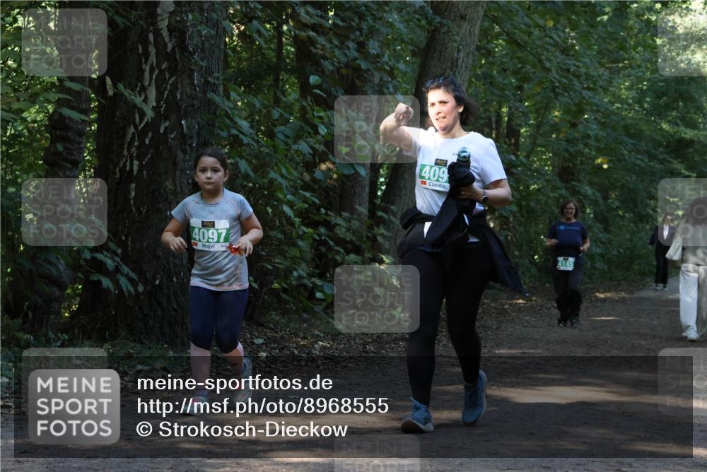 28.09.2025 - 33. Volkslauf durch das schöne Alstertal Strokosch-Dieckow http://msf.ph/oto/8968555 28.09.2025 11:05:52 Laufen 4097, 409, 4145 meine-sportfotos.de