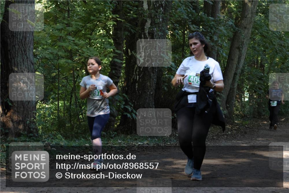 28.09.2025 - 33. Volkslauf durch das schöne Alstertal Strokosch-Dieckow http://msf.ph/oto/8968557 28.09.2025 11:05:53 Laufen 097, 40, 4145 meine-sportfotos.de