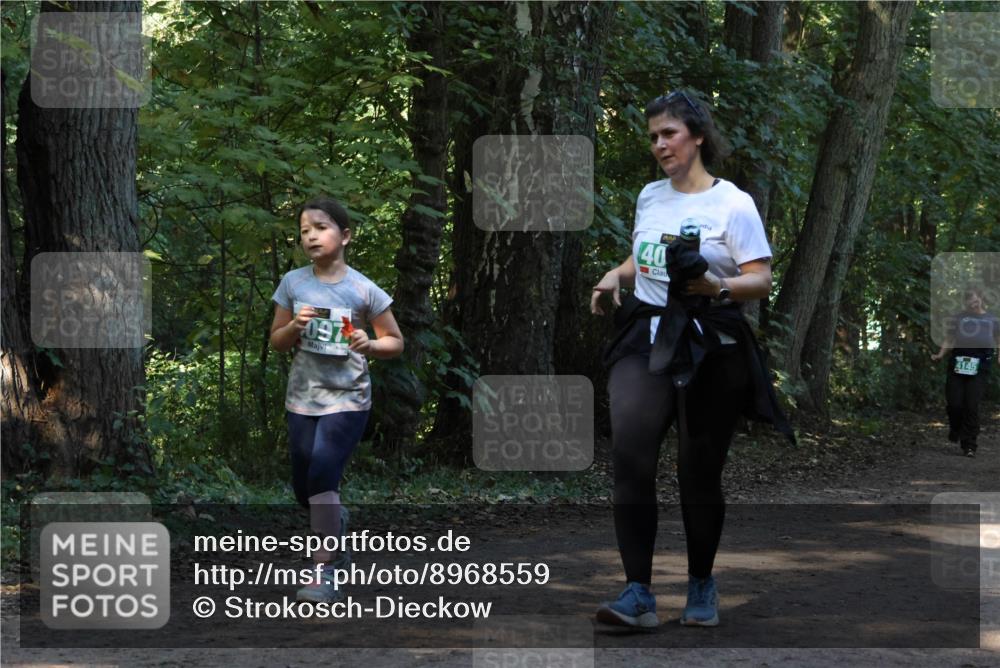 28.09.2025 - 33. Volkslauf durch das schöne Alstertal Strokosch-Dieckow http://msf.ph/oto/8968559 28.09.2025 11:05:53 Laufen 097, 40, 4145 meine-sportfotos.de