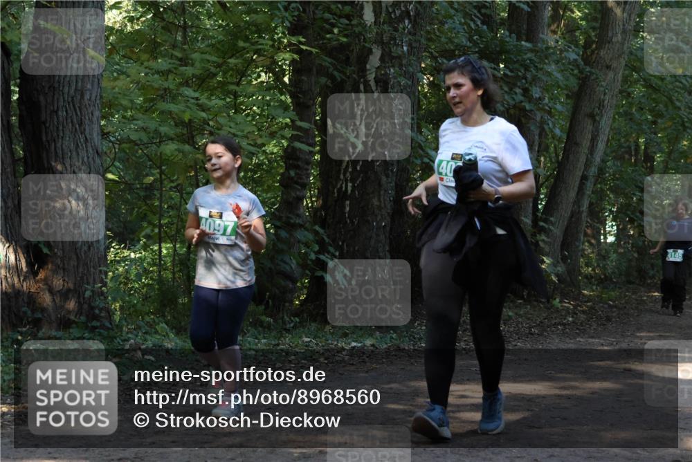 28.09.2025 - 33. Volkslauf durch das schöne Alstertal Strokosch-Dieckow http://msf.ph/oto/8968560 28.09.2025 11:05:53 Laufen 4097, 40, 4145 meine-sportfotos.de