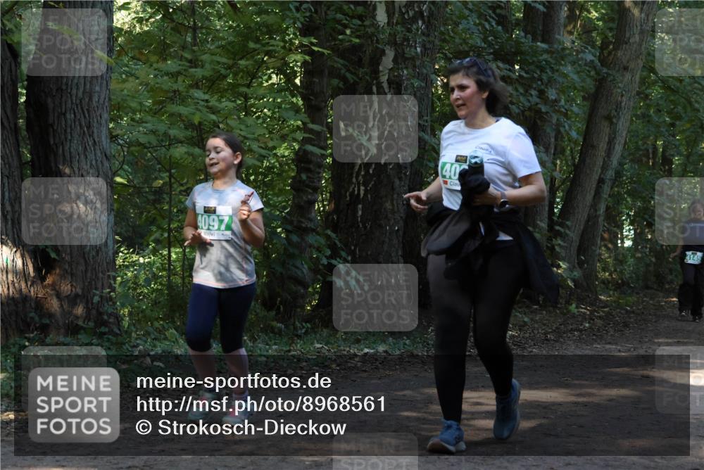 28.09.2025 - 33. Volkslauf durch das schöne Alstertal Strokosch-Dieckow http://msf.ph/oto/8968561 28.09.2025 11:05:53 Laufen 4097, 40, 4145 meine-sportfotos.de