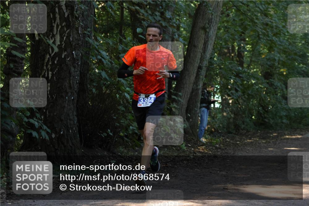 28.09.2025 - 33. Volkslauf durch das schöne Alstertal Strokosch-Dieckow http://msf.ph/oto/8968574 28.09.2025 11:08:18 Laufen 3384 meine-sportfotos.de