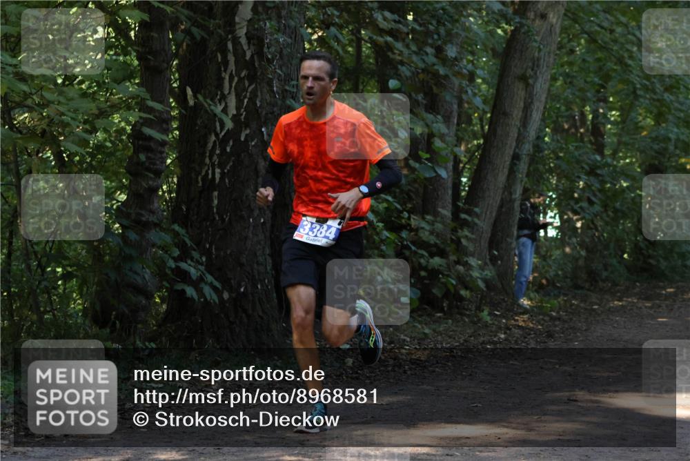 28.09.2025 - 33. Volkslauf durch das schöne Alstertal Strokosch-Dieckow http://msf.ph/oto/8968581 28.09.2025 11:08:19 Laufen 3384 meine-sportfotos.de