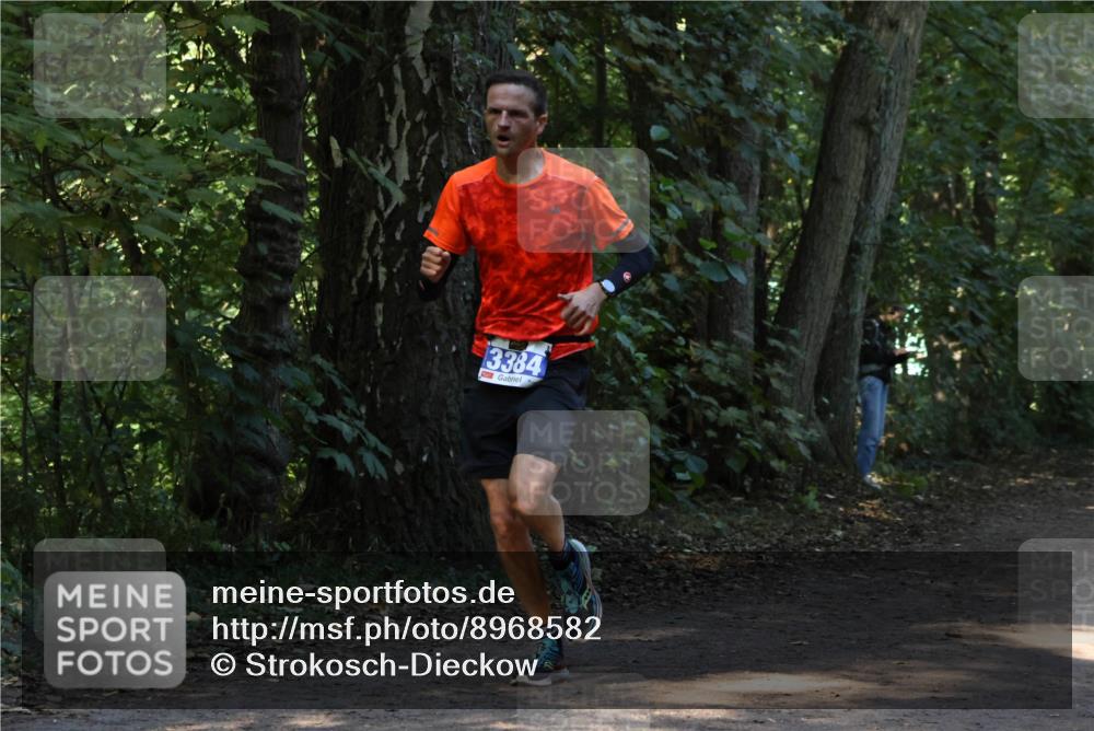 28.09.2025 - 33. Volkslauf durch das schöne Alstertal Strokosch-Dieckow http://msf.ph/oto/8968582 28.09.2025 11:08:19 Laufen 3384 meine-sportfotos.de