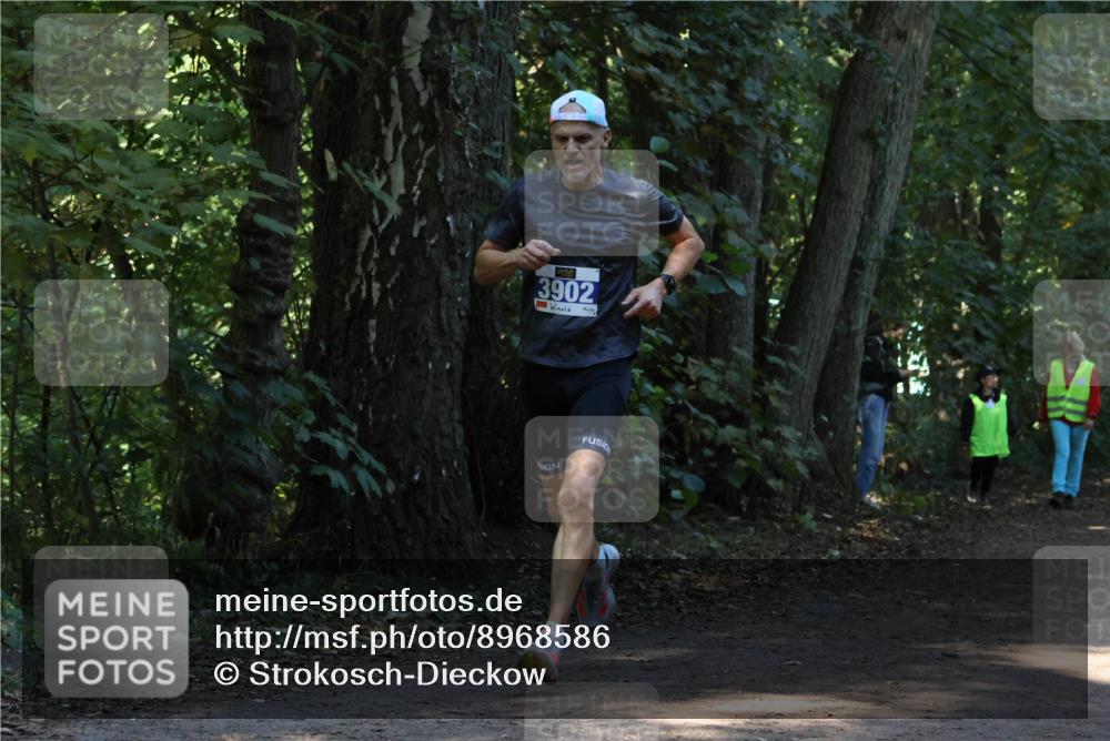 28.09.2025 - 33. Volkslauf durch das schöne Alstertal Strokosch-Dieckow http://msf.ph/oto/8968586 28.09.2025 11:08:37 Laufen 3902, 1 meine-sportfotos.de