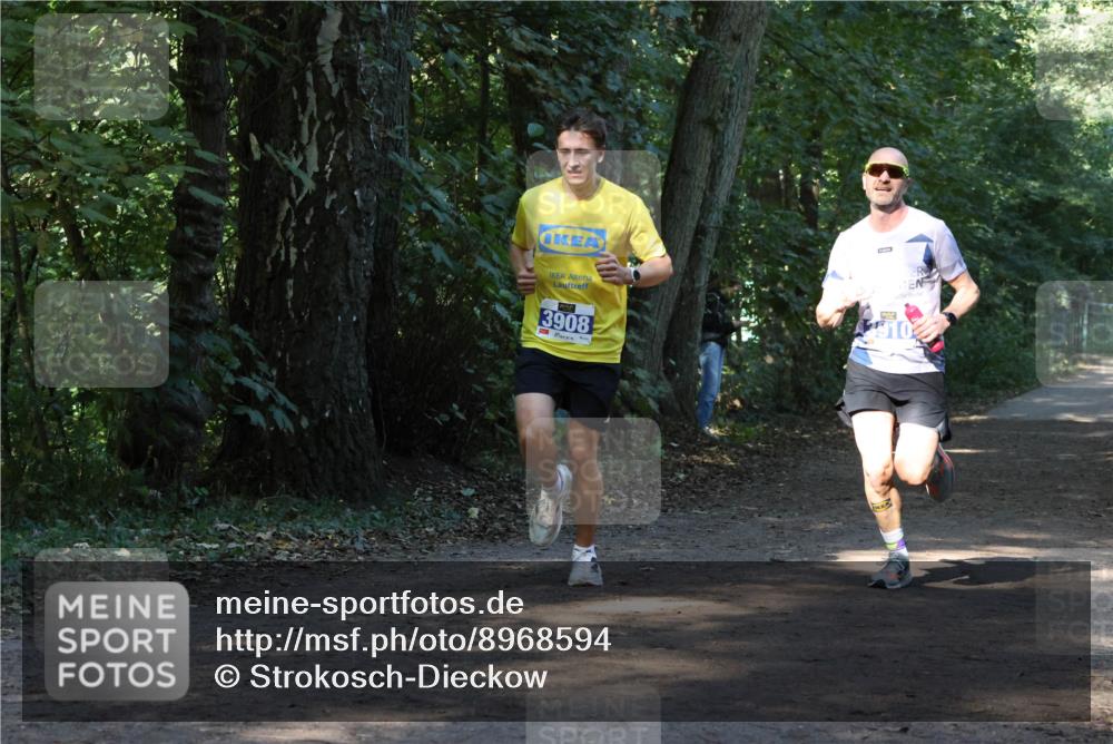 28.09.2025 - 33. Volkslauf durch das schöne Alstertal Strokosch-Dieckow http://msf.ph/oto/8968594 28.09.2025 11:09:18 Laufen 3908 meine-sportfotos.de