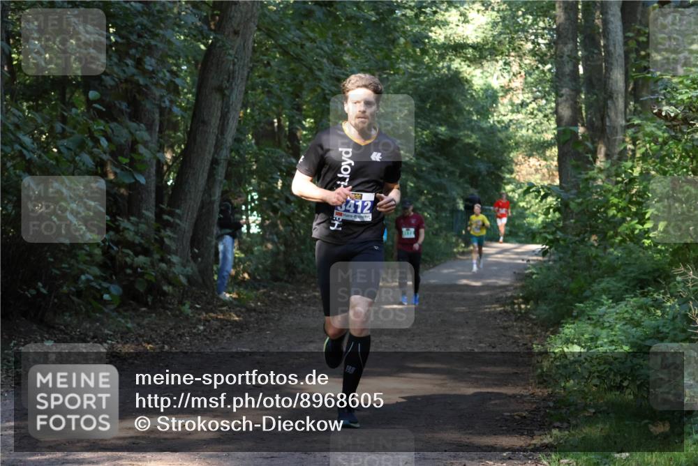 28.09.2025 - 33. Volkslauf durch das schöne Alstertal Strokosch-Dieckow http://msf.ph/oto/8968605 28.09.2025 11:09:46 Laufen  meine-sportfotos.de