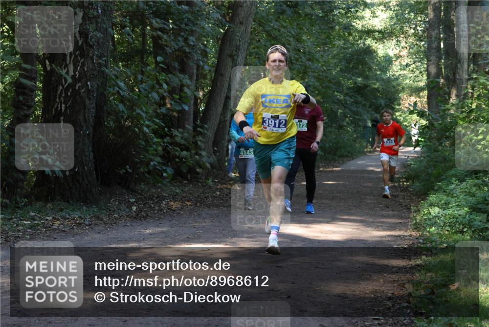 28.09.2025 - 33. Volkslauf durch das schöne Alstertal Strokosch-Dieckow http://msf.ph/oto/8968612 28.09.2025 11:09:58 Laufen 4143, 3912, 72, 3330 meine-sportfotos.de