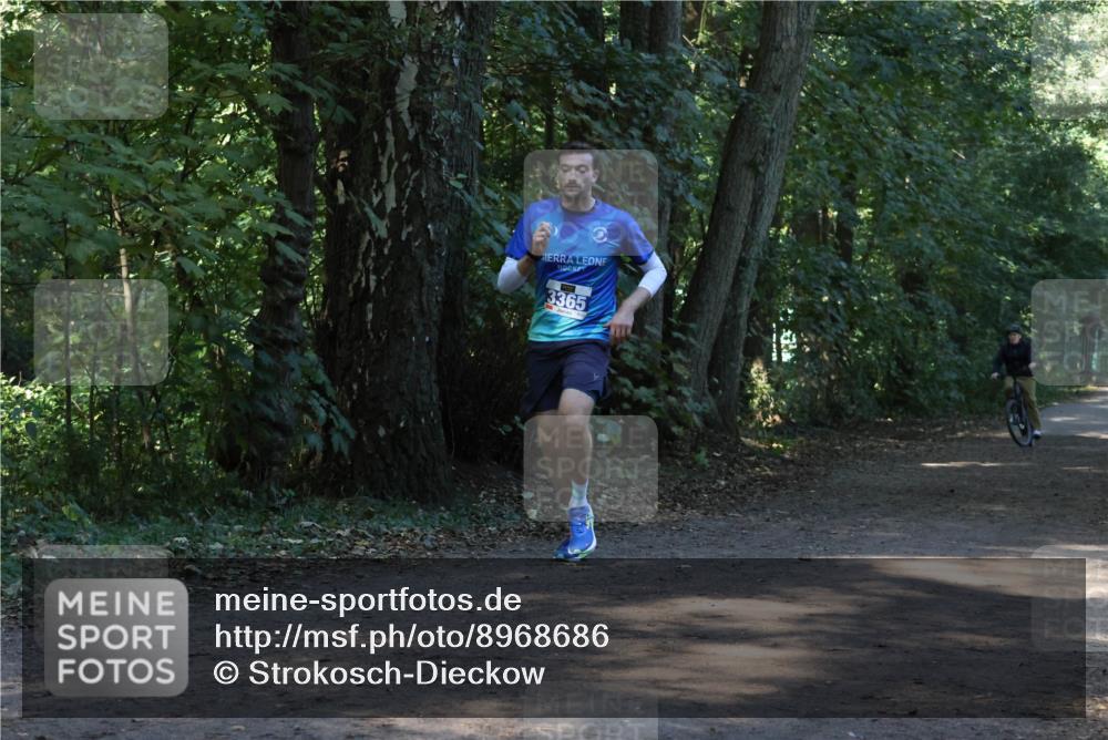 28.09.2025 - 33. Volkslauf durch das schöne Alstertal Strokosch-Dieckow http://msf.ph/oto/8968686 28.09.2025 11:11:57 Laufen 3365 meine-sportfotos.de
