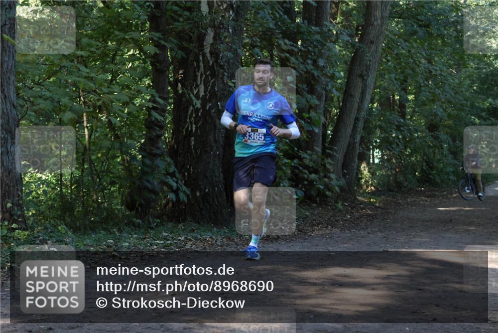 28.09.2025 - 33. Volkslauf durch das schöne Alstertal Strokosch-Dieckow http://msf.ph/oto/8968690 28.09.2025 11:11:58 Laufen 3365 meine-sportfotos.de
