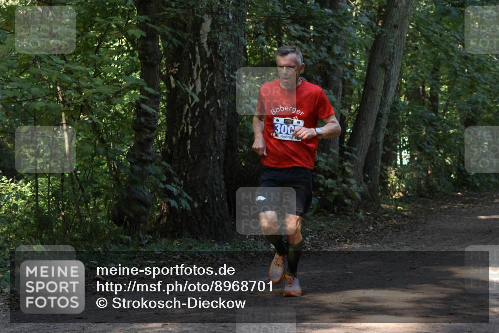 28.09.2025 - 33. Volkslauf durch das schöne Alstertal Strokosch-Dieckow http://msf.ph/oto/8968701 28.09.2025 11:12:44 Laufen 300 meine-sportfotos.de