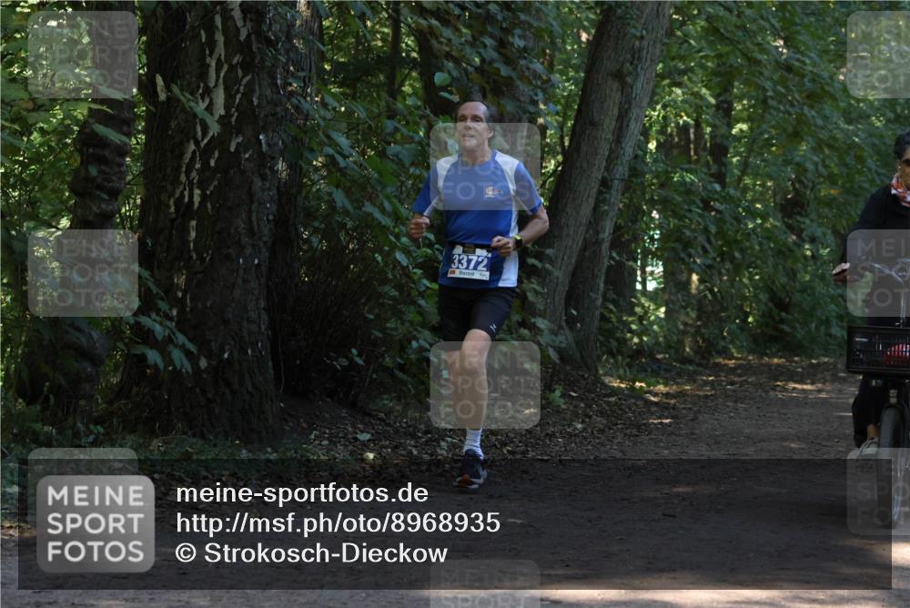 28.09.2025 - 33. Volkslauf durch das schöne Alstertal Strokosch-Dieckow http://msf.ph/oto/8968935 28.09.2025 11:18:49 Laufen 3372 meine-sportfotos.de