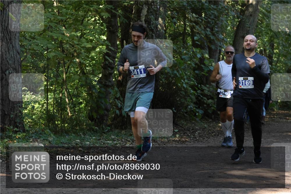 28.09.2025 - 33. Volkslauf durch das schöne Alstertal Strokosch-Dieckow http://msf.ph/oto/8969030 28.09.2025 11:20:29 Laufen 3411, 190, 3169 meine-sportfotos.de