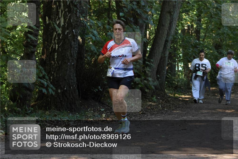 28.09.2025 - 33. Volkslauf durch das schöne Alstertal Strokosch-Dieckow http://msf.ph/oto/8969126 28.09.2025 11:21:43 Laufen 202, 85, 414, 4159 meine-sportfotos.de