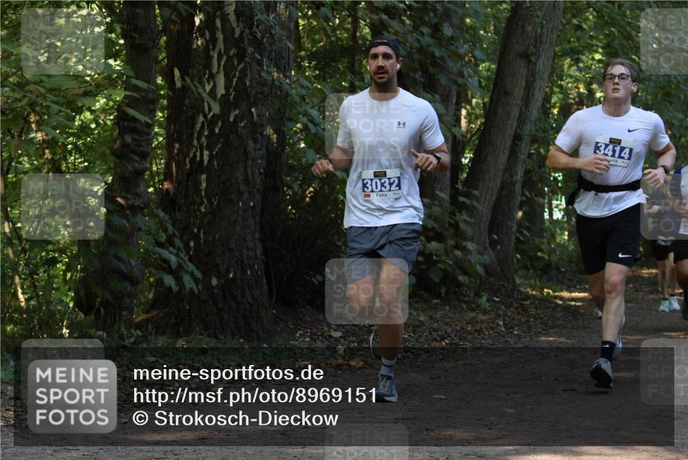 28.09.2025 - 33. Volkslauf durch das schöne Alstertal Strokosch-Dieckow http://msf.ph/oto/8969151 28.09.2025 11:22:15 Laufen 3414, 3032 meine-sportfotos.de