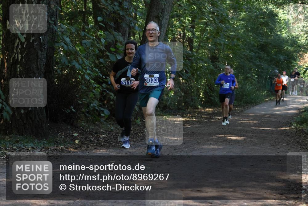 28.09.2025 - 33. Volkslauf durch das schöne Alstertal Strokosch-Dieckow http://msf.ph/oto/8969267 28.09.2025 11:24:45 Laufen 311, 3033, 3049, 164 meine-sportfotos.de