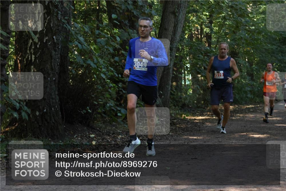 28.09.2025 - 33. Volkslauf durch das schöne Alstertal Strokosch-Dieckow http://msf.ph/oto/8969276 28.09.2025 11:24:51 Laufen 3049, 2519, 1506 meine-sportfotos.de
