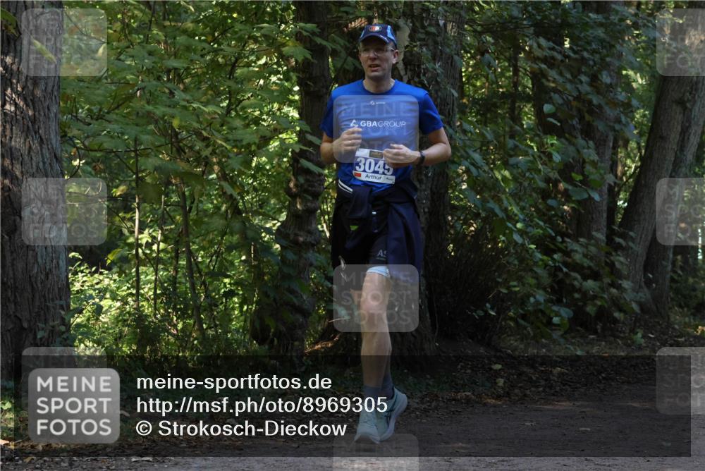 28.09.2025 - 33. Volkslauf durch das schöne Alstertal Strokosch-Dieckow http://msf.ph/oto/8969305 28.09.2025 11:25:20 Laufen 3045 meine-sportfotos.de