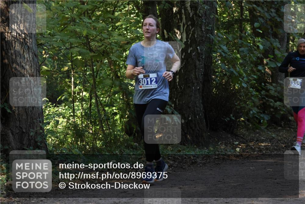 28.09.2025 - 33. Volkslauf durch das schöne Alstertal Strokosch-Dieckow http://msf.ph/oto/8969375 28.09.2025 11:26:37 Laufen 3012, 3355 meine-sportfotos.de