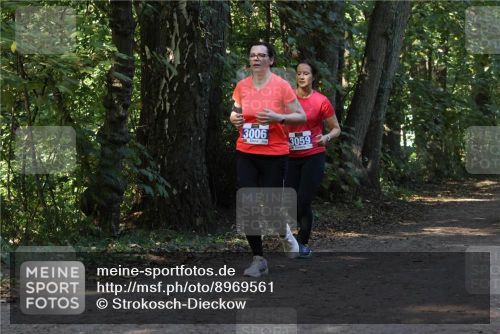 28.09.2025 - 33. Volkslauf durch das schöne Alstertal Strokosch-Dieckow http://msf.ph/oto/8969561 28.09.2025 11:30:37 Laufen 3006, 3059 meine-sportfotos.de