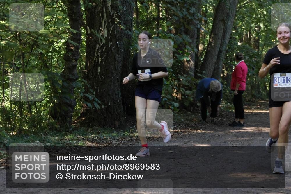 28.09.2025 - 33. Volkslauf durch das schöne Alstertal Strokosch-Dieckow http://msf.ph/oto/8969583 28.09.2025 11:31:23 Laufen 3013 meine-sportfotos.de