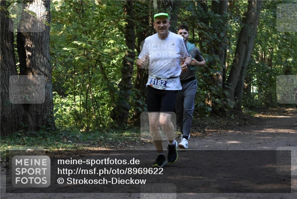 28.09.2025 - 33. Volkslauf durch das schöne Alstertal Strokosch-Dieckow http://msf.ph/oto/8969622 28.09.2025 11:32:06 Laufen 3182 meine-sportfotos.de