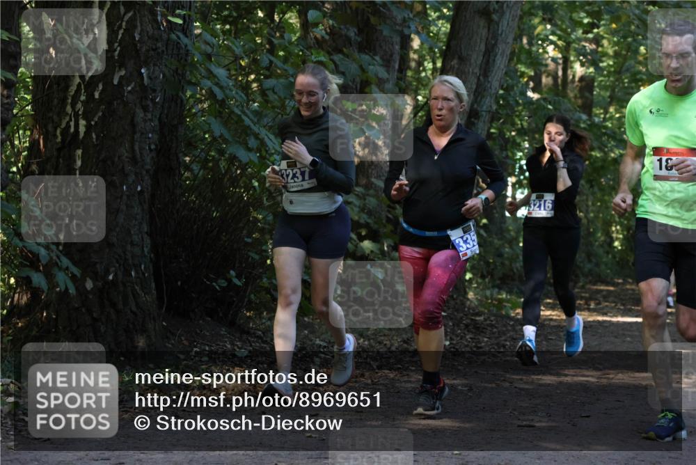 28.09.2025 - 33. Volkslauf durch das schöne Alstertal Strokosch-Dieckow http://msf.ph/oto/8969651 28.09.2025 11:32:51 Laufen 3237, 335, 3216, 5, 0, 1 meine-sportfotos.de
