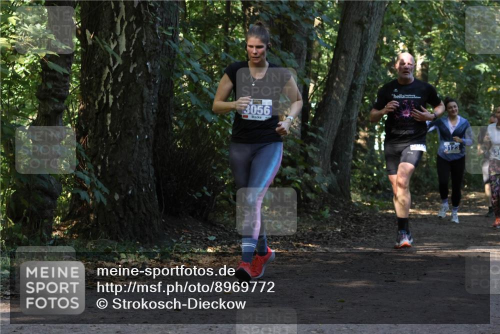 28.09.2025 - 33. Volkslauf durch das schöne Alstertal Strokosch-Dieckow http://msf.ph/oto/8969772 28.09.2025 11:35:33 Laufen 3056, 3123, 31 meine-sportfotos.de