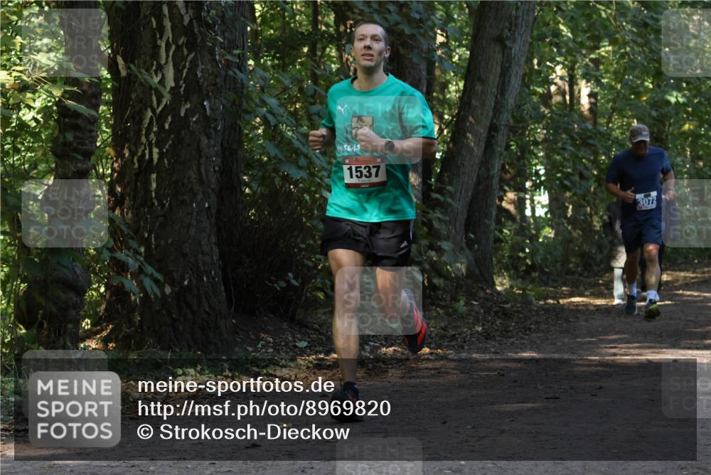 28.09.2025 - 33. Volkslauf durch das schöne Alstertal Strokosch-Dieckow http://msf.ph/oto/8969820 28.09.2025 11:36:27 Laufen 1537, 3072 meine-sportfotos.de