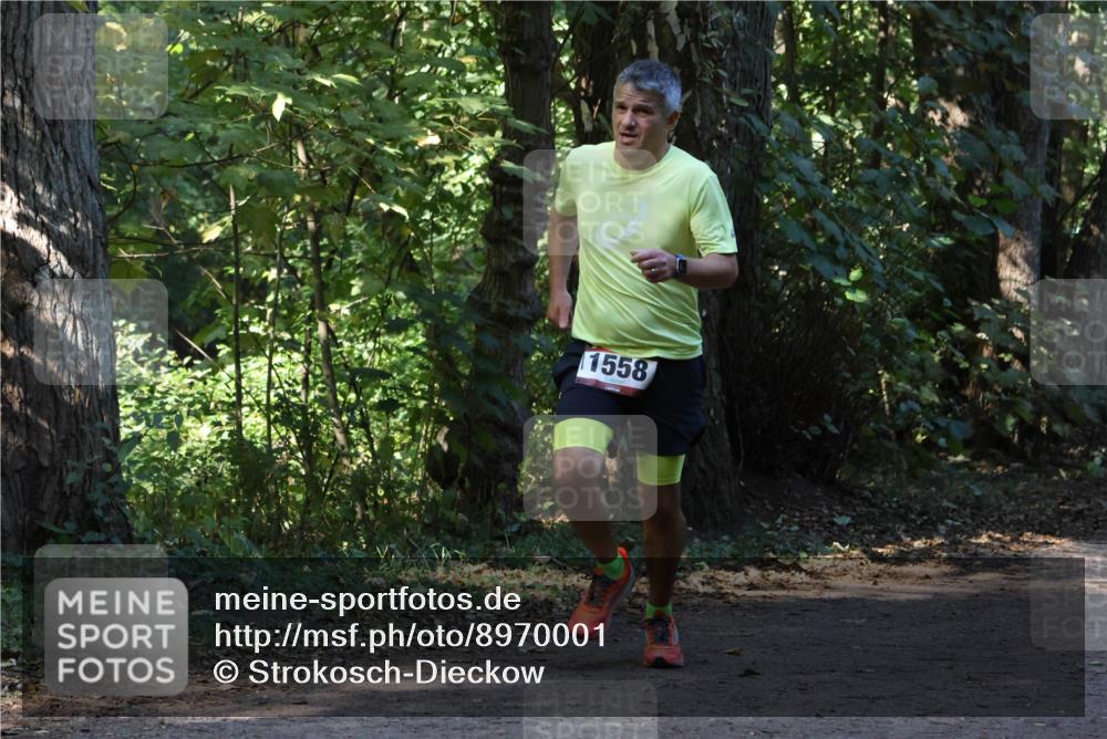 28.09.2025 - 33. Volkslauf durch das schöne Alstertal Strokosch-Dieckow http://msf.ph/oto/8970001 28.09.2025 11:40:02 Laufen 1558 meine-sportfotos.de
