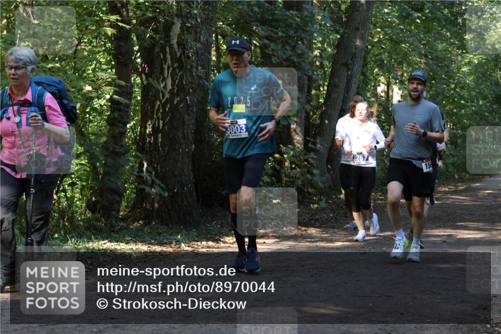 28.09.2025 - 33. Volkslauf durch das schöne Alstertal Strokosch-Dieckow http://msf.ph/oto/8970044 28.09.2025 11:41:12 Laufen 202, 5, 3003, 15 meine-sportfotos.de