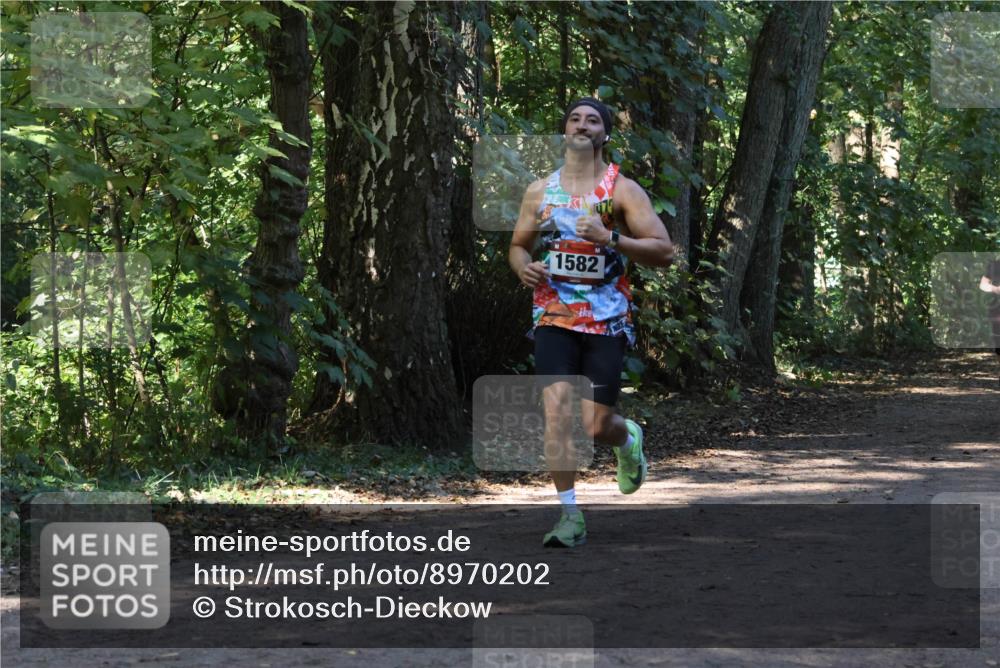 28.09.2025 - 33. Volkslauf durch das schöne Alstertal Strokosch-Dieckow http://msf.ph/oto/8970202 28.09.2025 11:45:17 Laufen 1582 meine-sportfotos.de