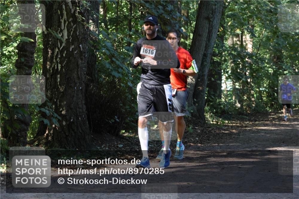 28.09.2025 - 33. Volkslauf durch das schöne Alstertal Strokosch-Dieckow http://msf.ph/oto/8970285 28.09.2025 11:47:31 Laufen 1616 meine-sportfotos.de
