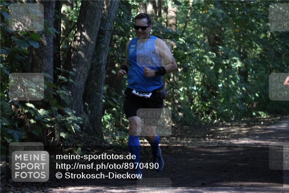 28.09.2025 - 33. Volkslauf durch das schöne Alstertal Strokosch-Dieckow http://msf.ph/oto/8970490 28.09.2025 11:53:02 Laufen 1609 meine-sportfotos.de