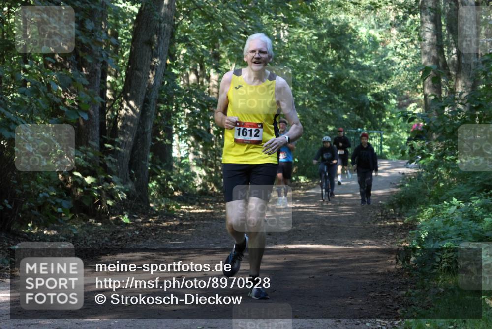 28.09.2025 - 33. Volkslauf durch das schöne Alstertal Strokosch-Dieckow http://msf.ph/oto/8970528 28.09.2025 11:53:56 Laufen 1612 meine-sportfotos.de