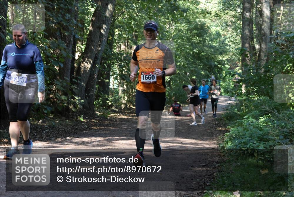 28.09.2025 - 33. Volkslauf durch das schöne Alstertal Strokosch-Dieckow http://msf.ph/oto/8970672 28.09.2025 11:56:54 Laufen 3360, 1660 meine-sportfotos.de