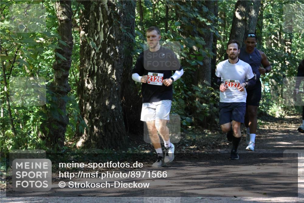 28.09.2025 - 33. Volkslauf durch das schöne Alstertal Strokosch-Dieckow http://msf.ph/oto/8971566 28.09.2025 12:16:48 Laufen 26, 2126, 2127 meine-sportfotos.de