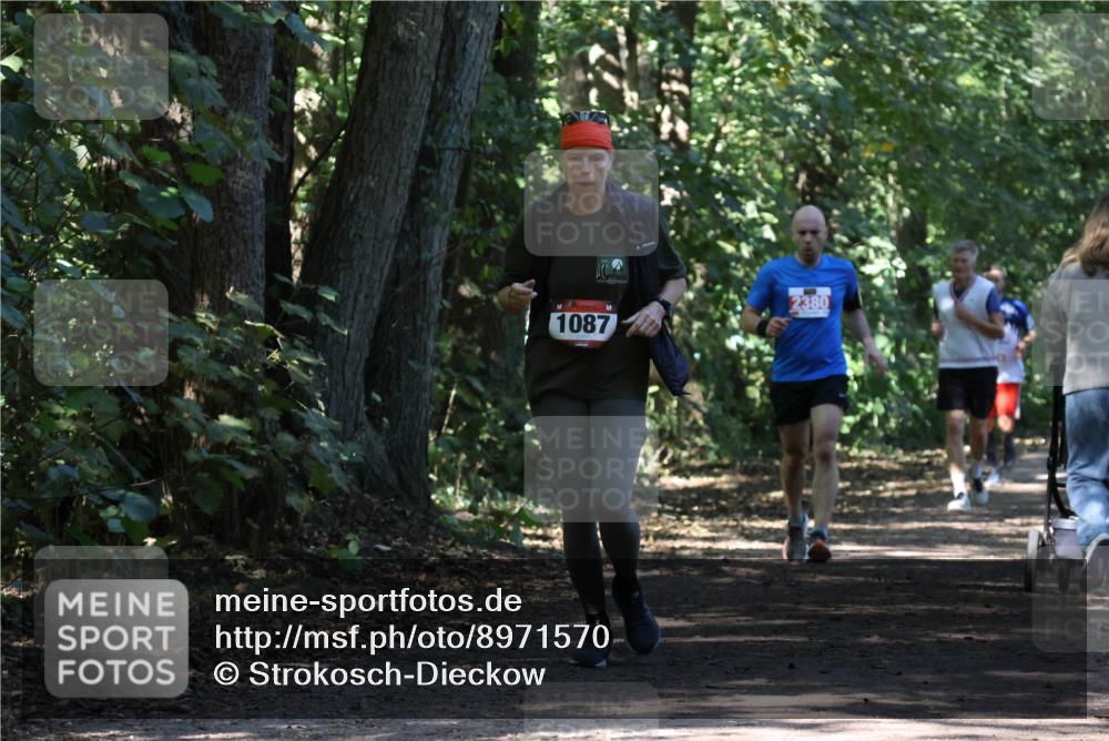 28.09.2025 - 33. Volkslauf durch das schöne Alstertal Strokosch-Dieckow http://msf.ph/oto/8971570 28.09.2025 12:16:58 Laufen 1087, 2380 meine-sportfotos.de
