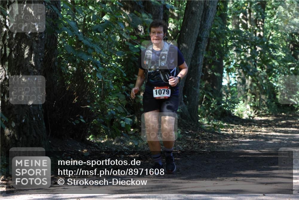 28.09.2025 - 33. Volkslauf durch das schöne Alstertal Strokosch-Dieckow http://msf.ph/oto/8971608 28.09.2025 12:17:19 Laufen 1079 meine-sportfotos.de