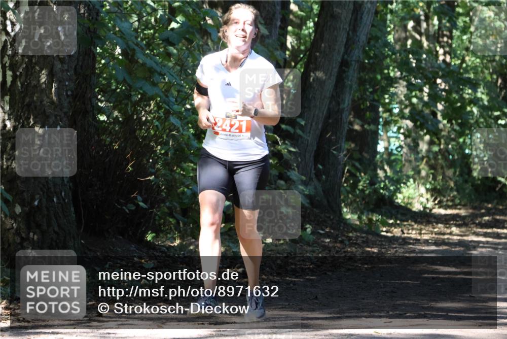 28.09.2025 - 33. Volkslauf durch das schöne Alstertal Strokosch-Dieckow http://msf.ph/oto/8971632 28.09.2025 12:17:42 Laufen 2421 meine-sportfotos.de