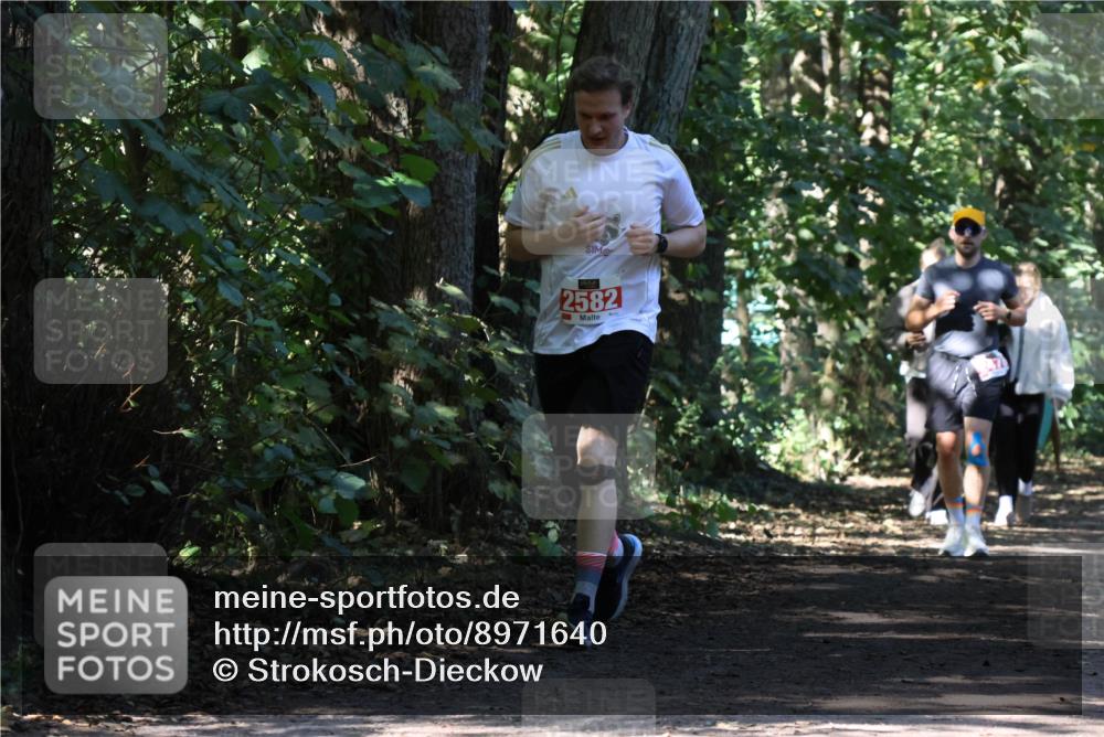28.09.2025 - 33. Volkslauf durch das schöne Alstertal Strokosch-Dieckow http://msf.ph/oto/8971640 28.09.2025 12:17:55 Laufen 2582 meine-sportfotos.de