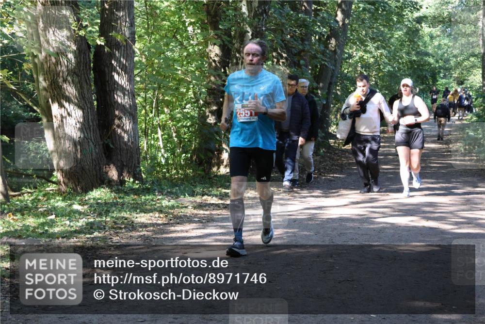 28.09.2025 - 33. Volkslauf durch das schöne Alstertal Strokosch-Dieckow http://msf.ph/oto/8971746 28.09.2025 12:20:49 Laufen 2551 meine-sportfotos.de