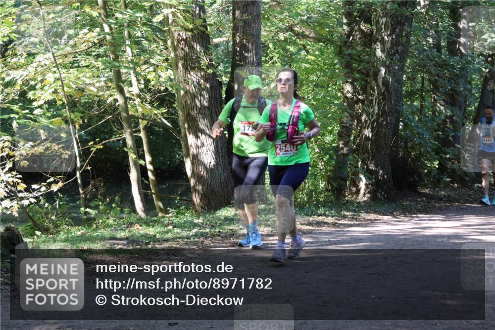 28.09.2025 - 33. Volkslauf durch das schöne Alstertal Strokosch-Dieckow http://msf.ph/oto/8971782 28.09.2025 12:22:06 Laufen 2 meine-sportfotos.de